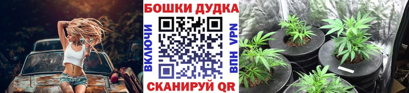 Купить наркотики сайты Анива Alpha PVP Мефедрон Галлюциногенные грибы ГАШ