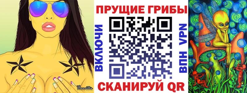 ссылка на мегу рабочий сайт  Анива  Псилоцибиновые грибы мухоморы  где купить  